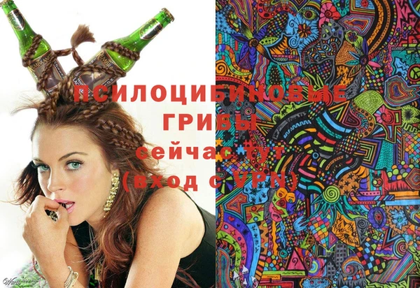 прущие крисы Бронницы