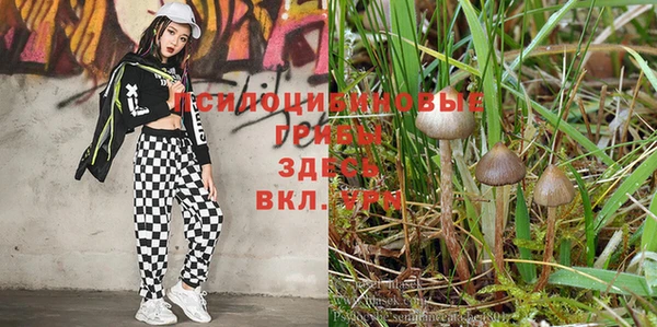 2c-b Богородицк
