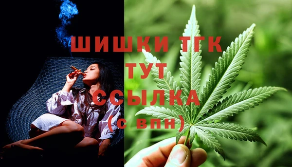 сатива Бородино