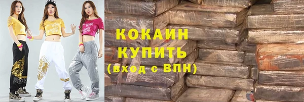 сатива Бородино