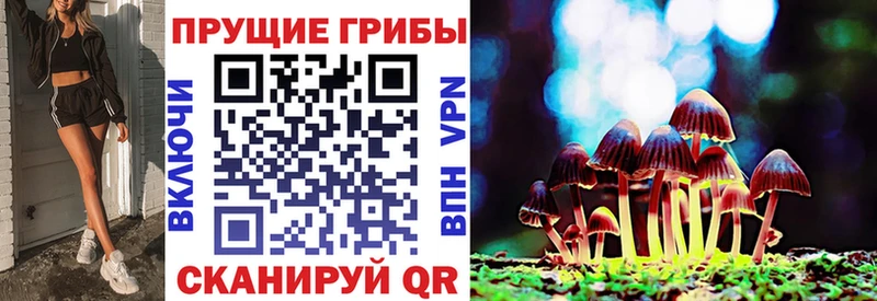 наркошоп Дигора Псилоцибиновые грибы Psilocybe